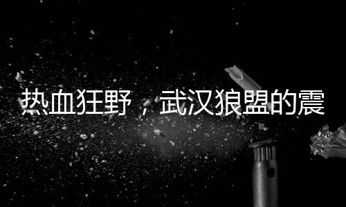 解锁夜生活秘密：武汉夜市的故事