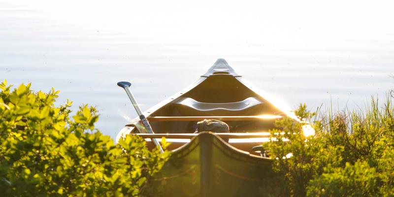 ZSZ10013综合信息全解析:掌握这款实用工具的核心价值与应用场景