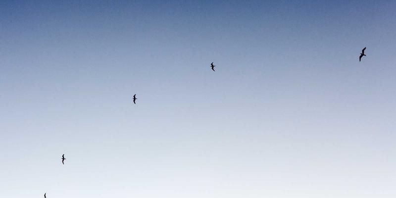 ZSZ10014:数字时代的资源与信息分享新范式