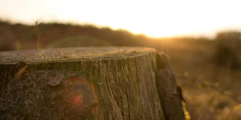 ZSZ10020：信息与资源高效整合分享的新范式