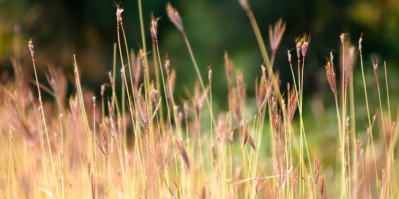 ZSZ10027：一站式实用工具与资源分享平台，打造您的数字生活效率引擎