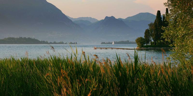 ZSZ10029：构建高效知识库，赋能团队信息与资源分享新范式