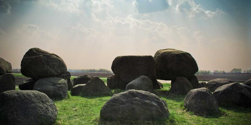 ZSZ10031：信息分享时代的实用工具新标杆