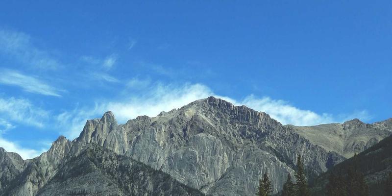 ZSZ10034：构建高效知识库与资源分享体系的实践指南