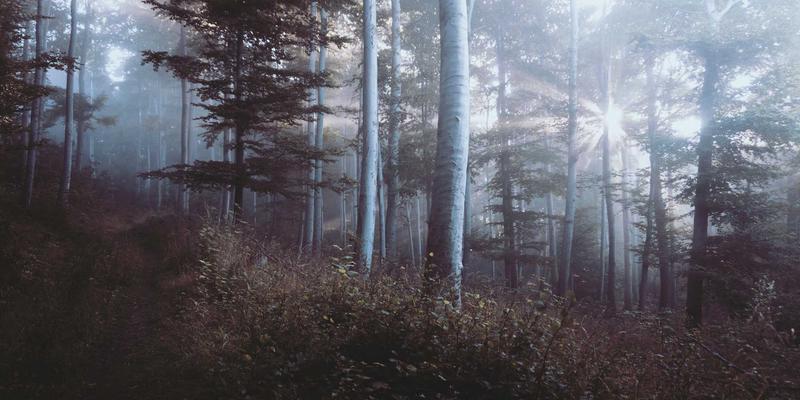 ZSZ10044：解锁综合信息与资源共享的新维度