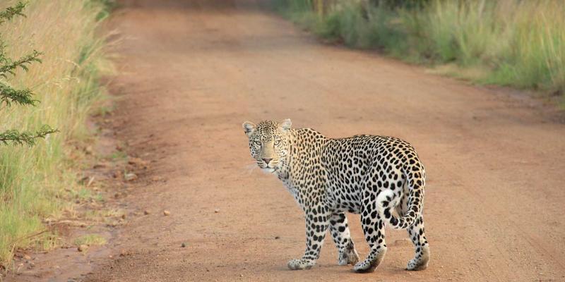 ZSZ10048:信息与资源共享的新范式及其应用价值