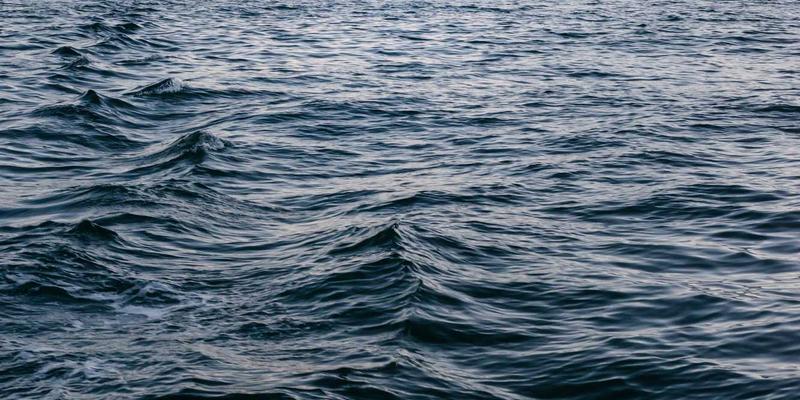 ZSZ10050：一站式综合信息与实用工具共享平台深度解析