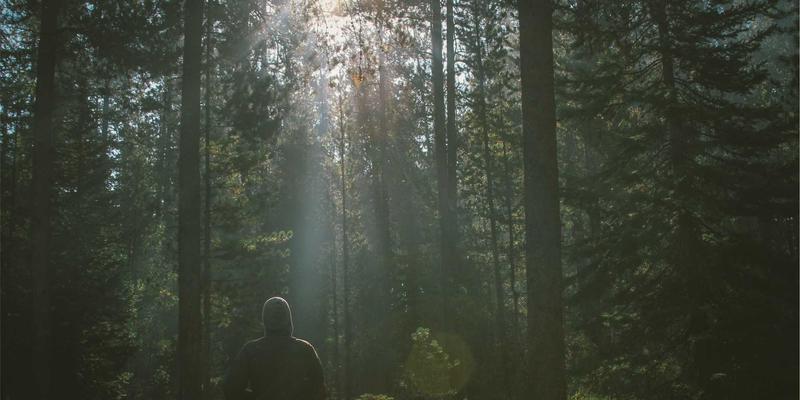 ZSZ10063知识库：解锁ZSZ100系列实用工具的高效应用指南