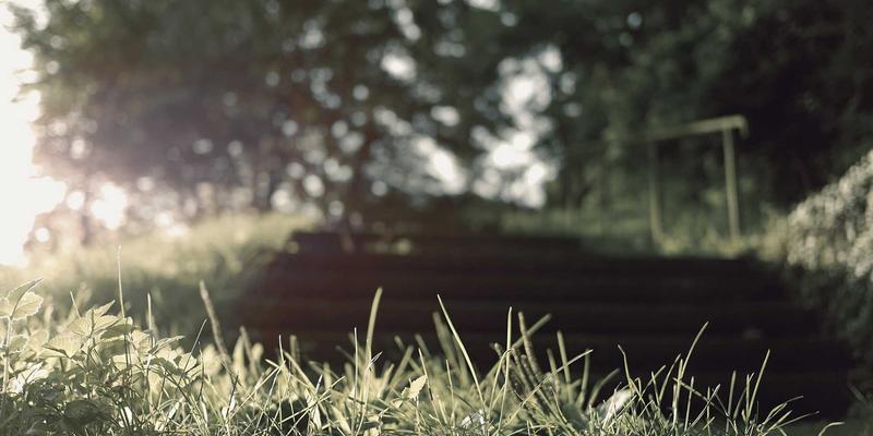 ZSZ10076：信息与资源分享时代的实用工具全解析