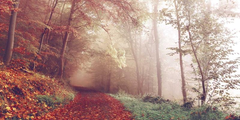 ZSZ10081：构建高效知识库，实现综合信息的价值分享与赋能