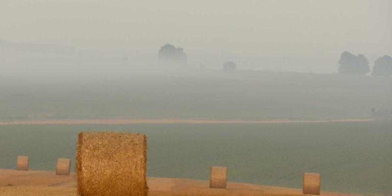 ZSZ10086综合信息解析：从ZSZ100到信息分享的全面指南