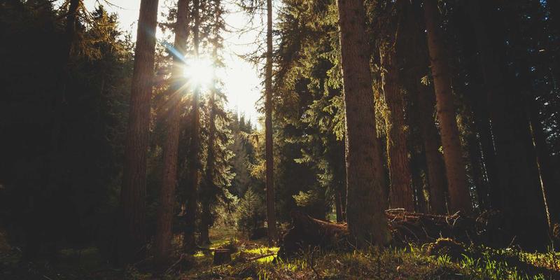 ZSZ10097综合信息解析：功能、应用与信息分享指南