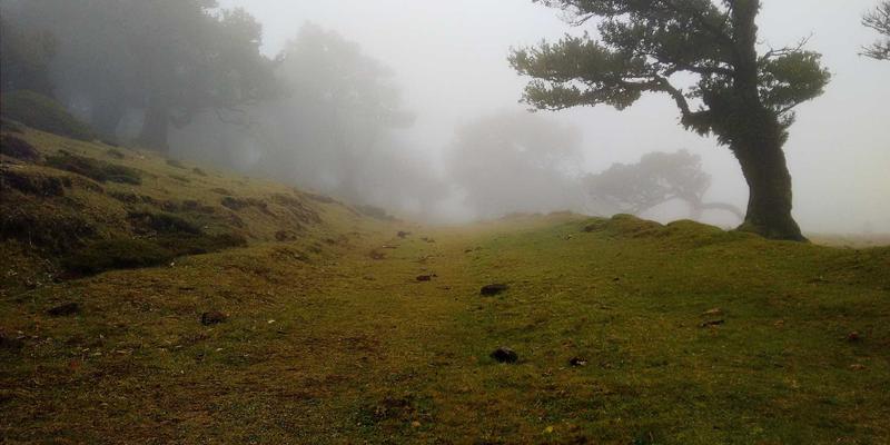 ZSZ100前景解析：构建下一代知识库，引领综合信息与资源分享新范式