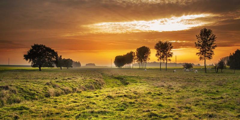 ZSZ100型号综合信息详解：技术参数解析与核心应用场景分享