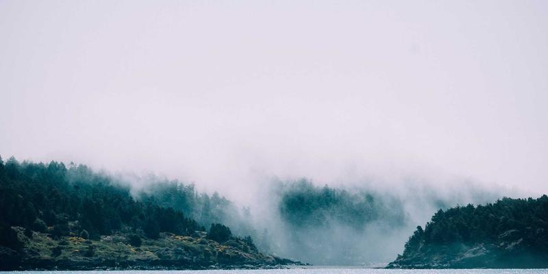 ZSZ100如何助力食品饮料行业合规升级？满足FDA与EHEDG标准的完整资源分享