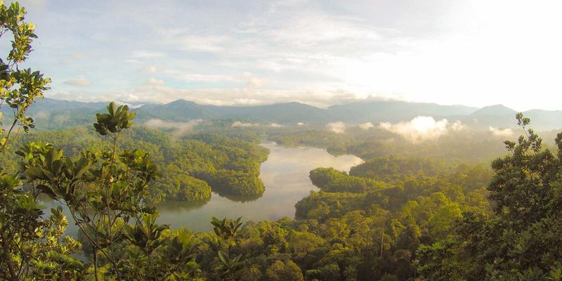 ZSZ100实战指南：从选型到部署，如何在小项目中实现超高成本效益