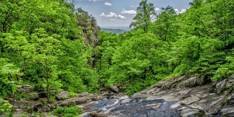 ZSZ100技巧全解析：信息分享、实用工具与资源整合的终极指南