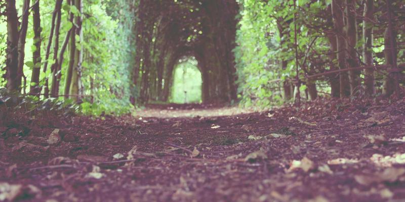 ZSZ100深度评测：一款重新定义效率的综合信息与实用工具