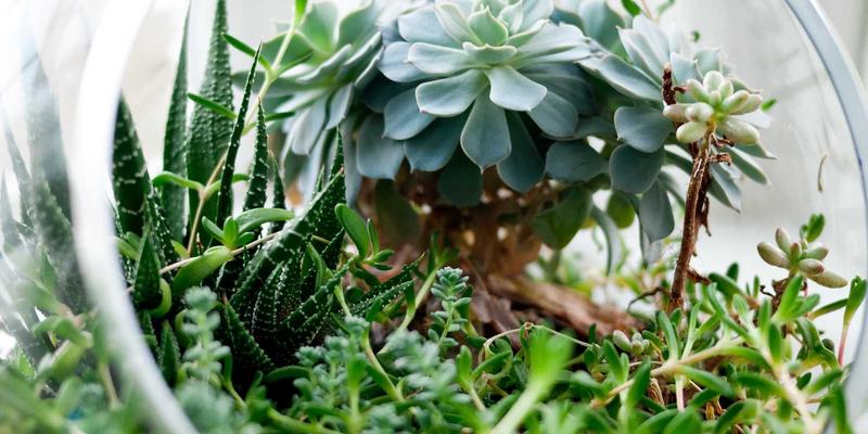 ZSZ100知识库如何重塑柔性装配线：动态工单调度与物料配送协同的智能革命