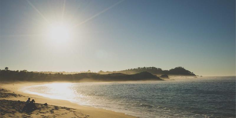 ZSZ100趋势深度解析：综合信息平台如何重塑信息分享新生态