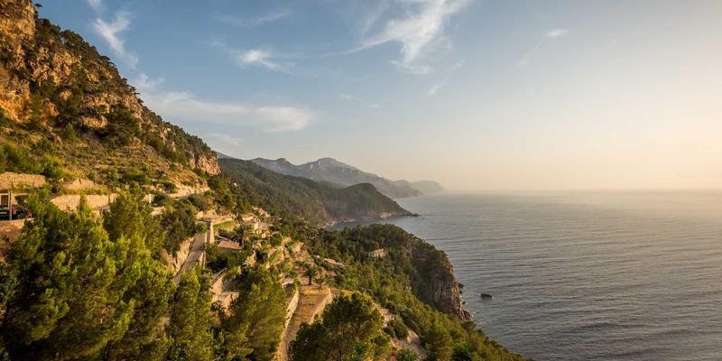 ZSZ100追溯体系：构建食品饮料行业全链路透明化的核心方案与信息共享生态