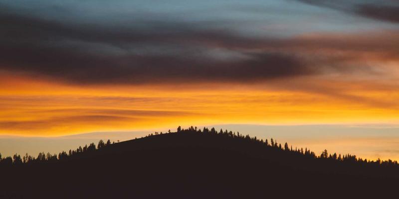 ZSZ100：重新定义日常效率的实用工具与信息分享平台