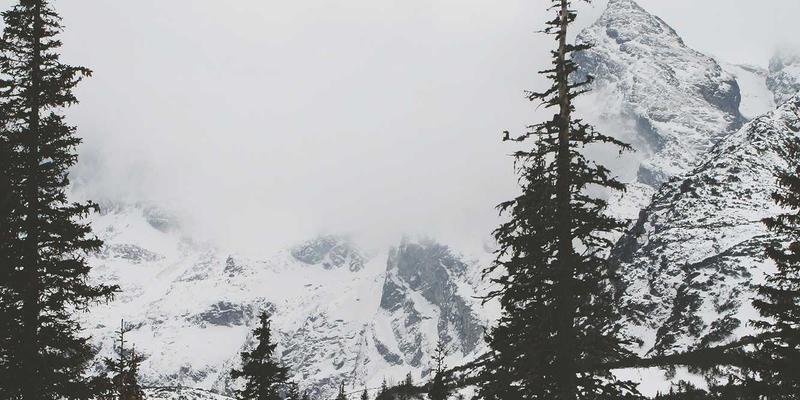 知识库资源分享新标杆：如何根据项目需求精准配置ZSZ100系统